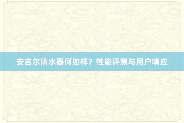 安吉尔清水器何如样？性能评测与用户响应