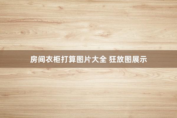 房间衣柜打算图片大全 狂放图展示
