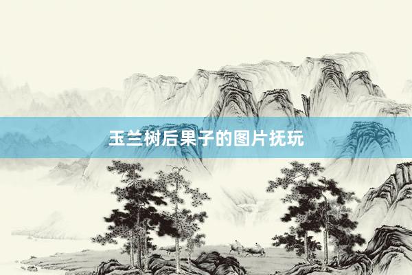 玉兰树后果子的图片抚玩