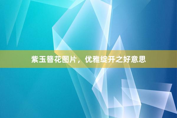 紫玉簪花图片，优雅绽开之好意思