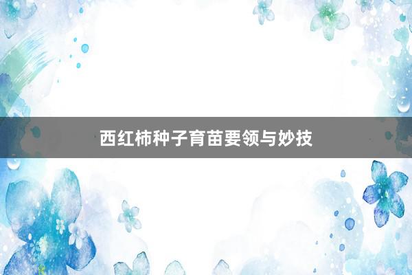 西红柿种子育苗要领与妙技