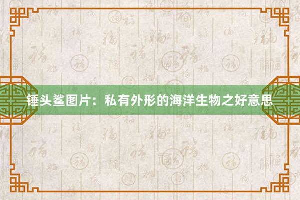 锤头鲨图片：私有外形的海洋生物之好意思