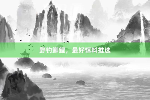 野钓鲫鲤，最好饵料推选